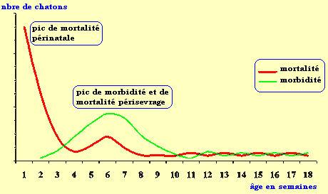 belgothai_bonasavoir_tableau_sevrage.jpg