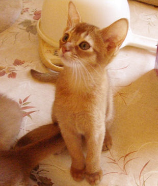 2009_chentyt_47.jpg