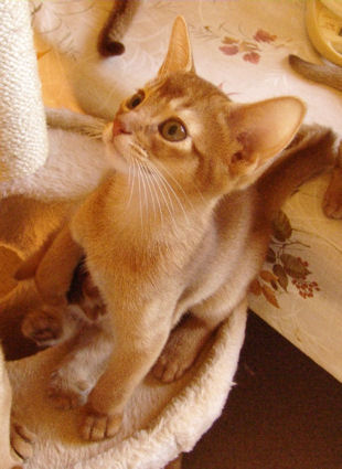2009_chentyt_48.jpg