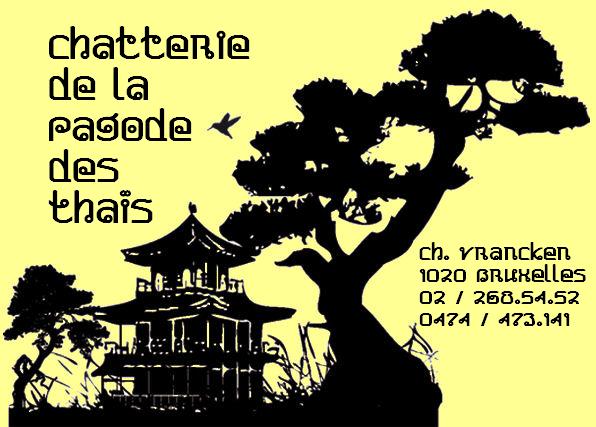 pagode_thai_2